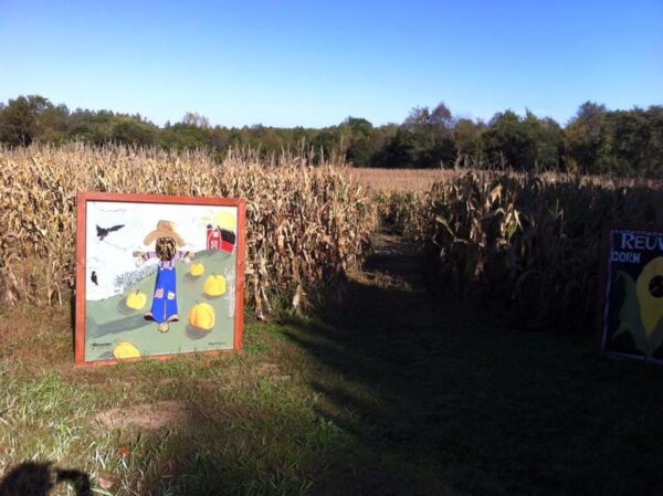 Reuvers' Nursery Haunted Night Maze