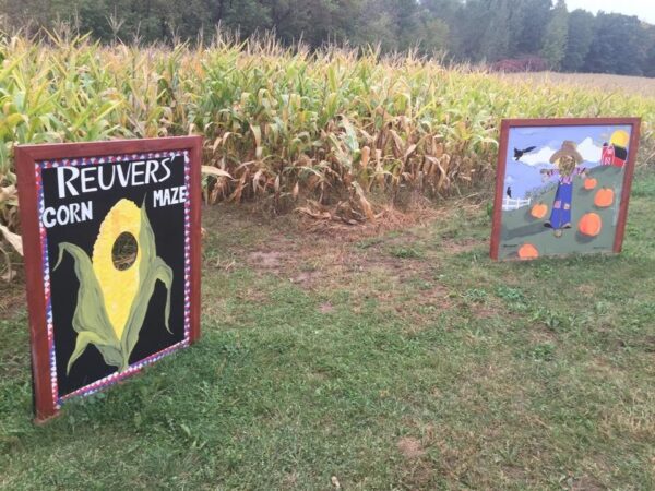 Reuvers' Nursery Haunted Night Maze