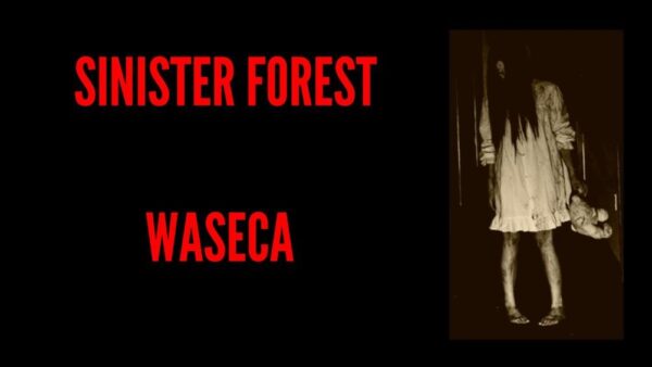Sinister Forest
