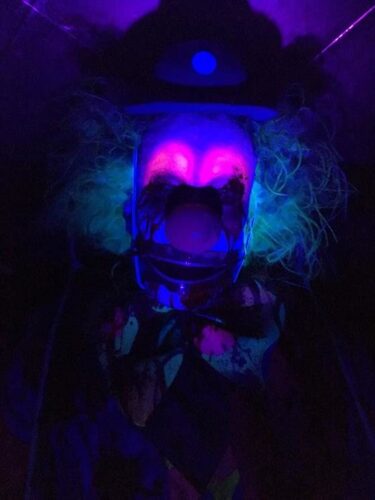 Sinister Acres Haunted Attractions