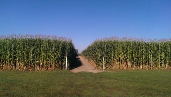 Slaughterhouse Adventure & Grand River Corn Maze