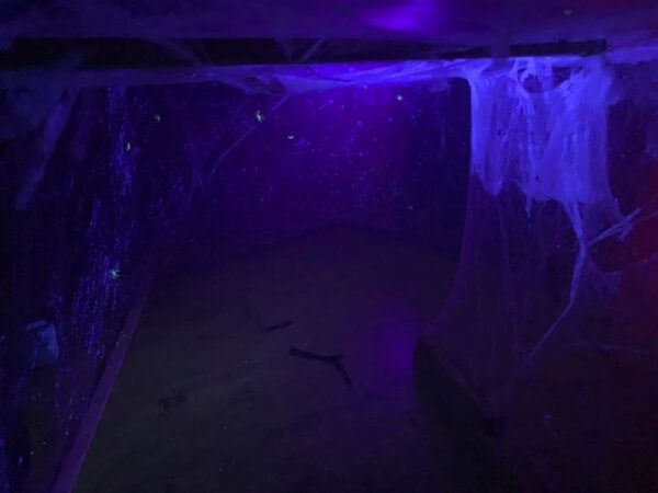 Slayter Hall Haunted House