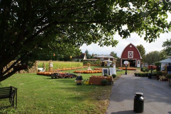 The Cornstalk Farm