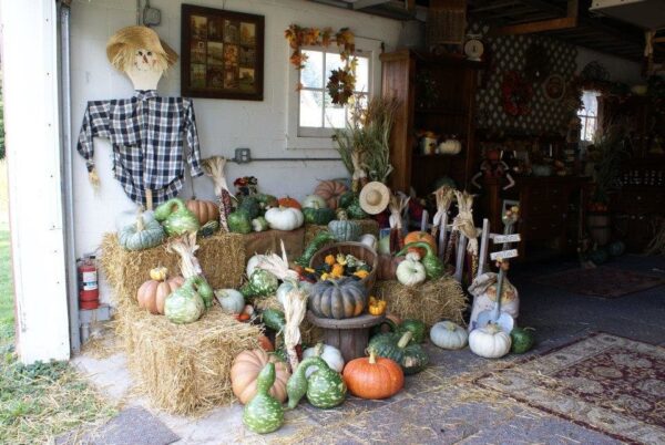 The Cornstalk Farm