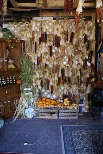 The Cornstalk Farm