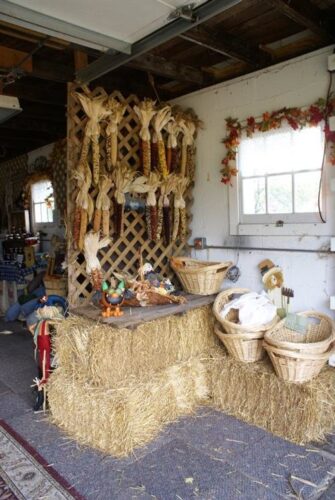 The Cornstalk Farm