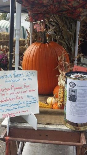 The Cornstalk Farm