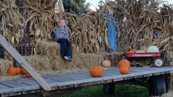 The Cornstalk Farm