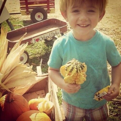 The Cornstalk Farm