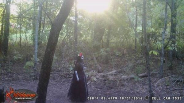 The Haunted Forest at Lake Eufaula State Park