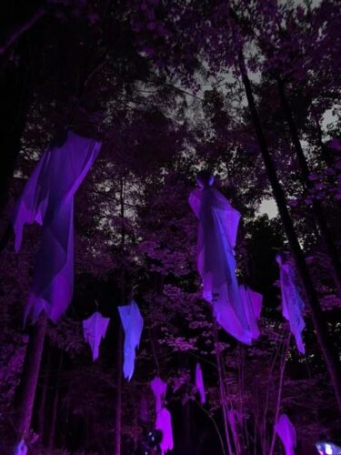 The Haunted Fork