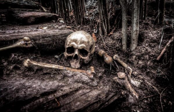 The Horrorland Miami