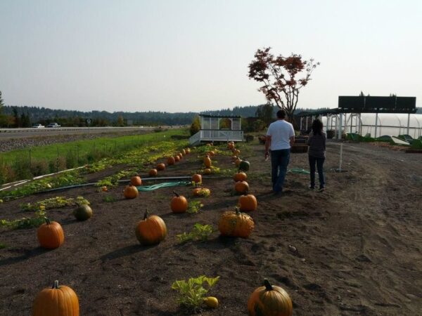 Thomas Family Farm