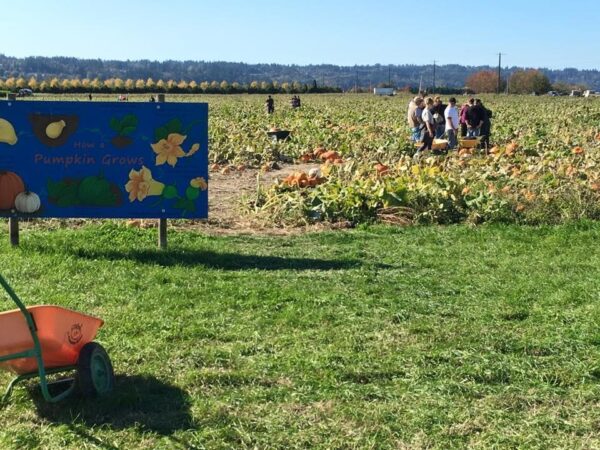 Thomas Family Farm