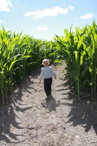 Thomas Family Farm