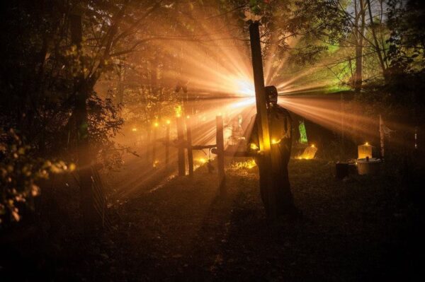 Treedines Haunted Farm