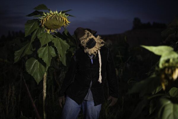 Halloween Land Corn Maze at Twin Oaks Farms