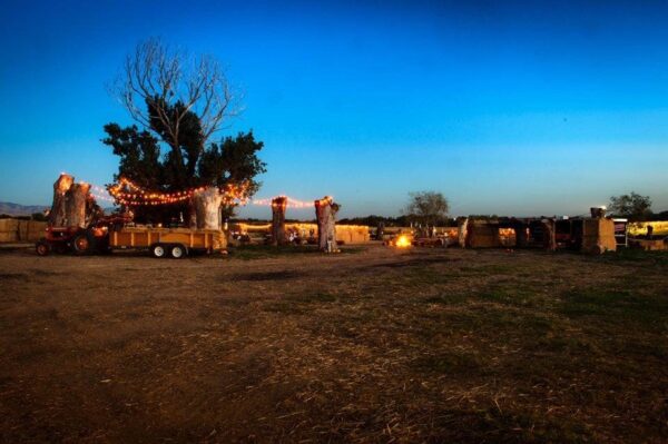 Halloween Land Corn Maze at Twin Oaks Farms