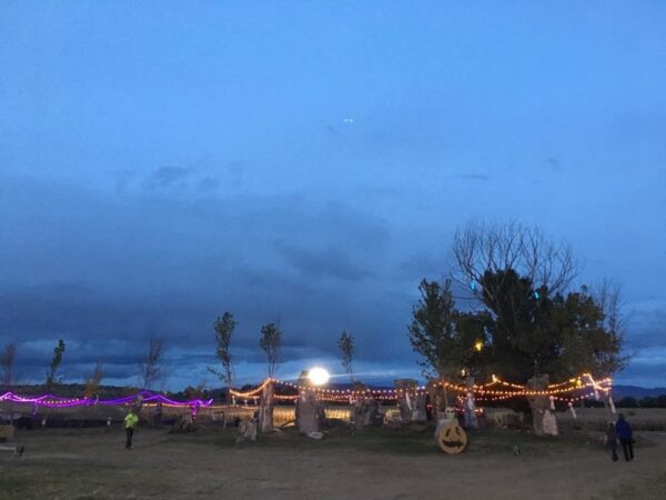 Halloween Land Corn Maze at Twin Oaks Farms