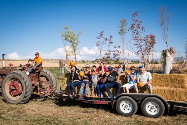 Halloween Land Corn Maze at Twin Oaks Farms