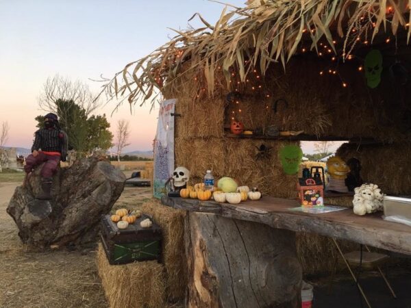 Halloween Land Corn Maze at Twin Oaks Farms