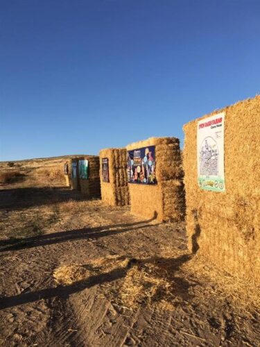 Halloween Land Corn Maze at Twin Oaks Farms