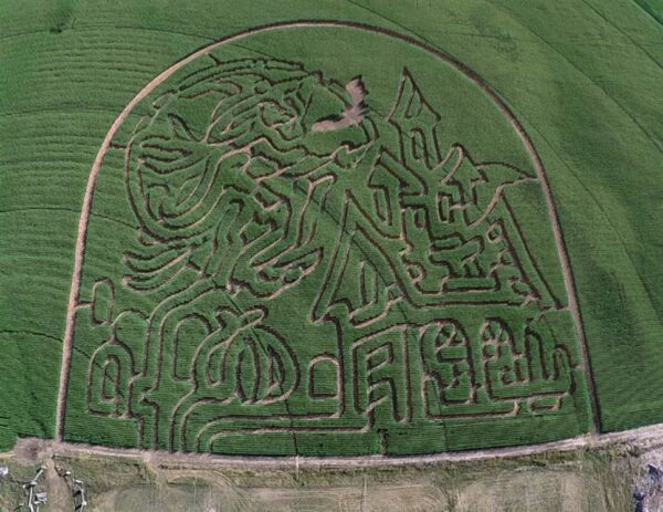 Halloween Land Corn Maze at Twin Oaks Farms