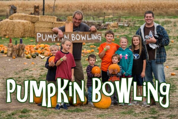 Halloween Land Corn Maze at Twin Oaks Farms