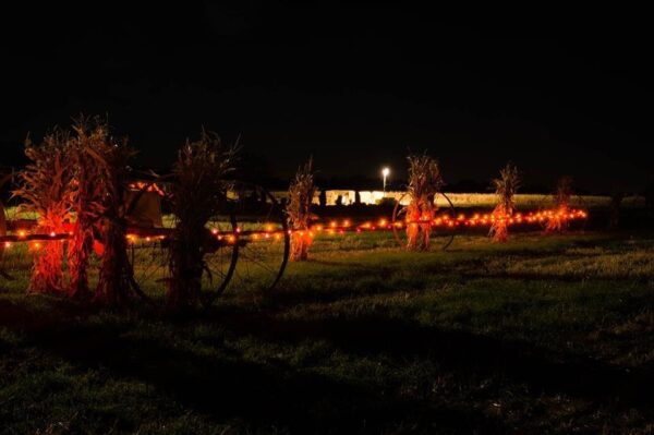 Halloween Land Corn Maze at Twin Oaks Farms