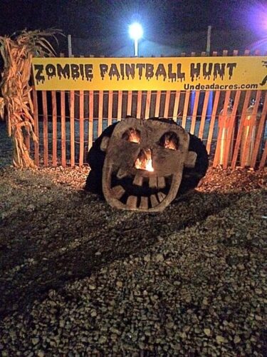 Undead Acres