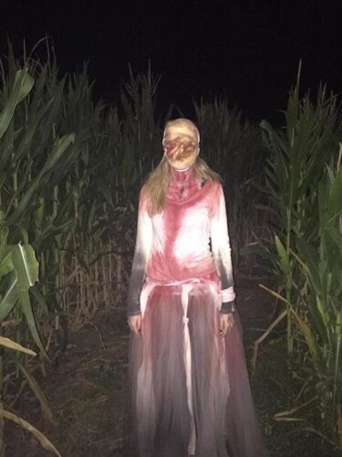 Union Gap Corn Maze and Pumpkin Patch