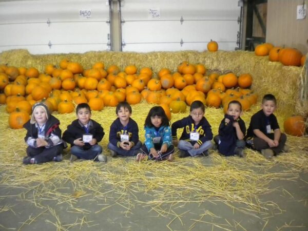 Union Gap Corn Maze and Pumpkin Patch