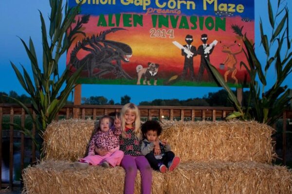 Union Gap Corn Maze and Pumpkin Patch
