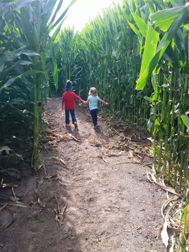 Union Gap Corn Maze and Pumpkin Patch