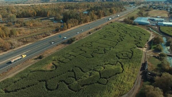 Union Gap Corn Maze and Pumpkin Patch