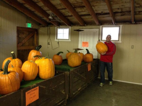 Union Gap Corn Maze and Pumpkin Patch