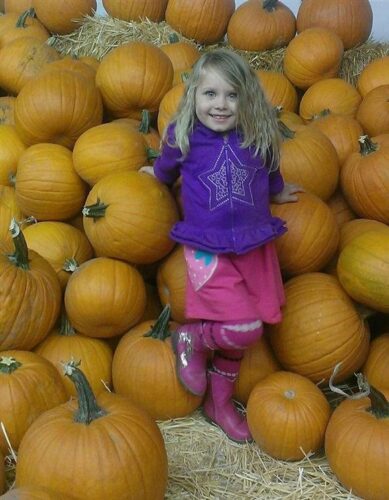 Union Gap Corn Maze and Pumpkin Patch