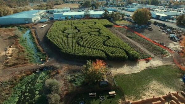 Union Gap Corn Maze and Pumpkin Patch