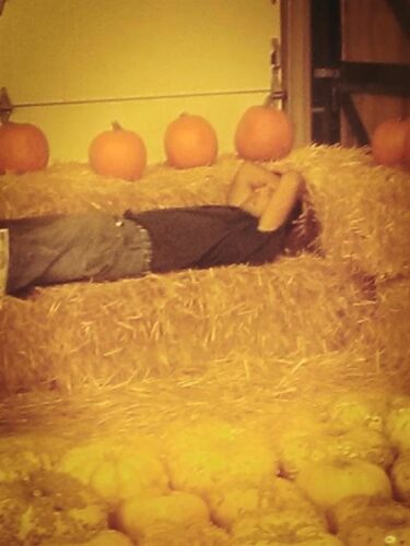 Union Gap Corn Maze and Pumpkin Patch