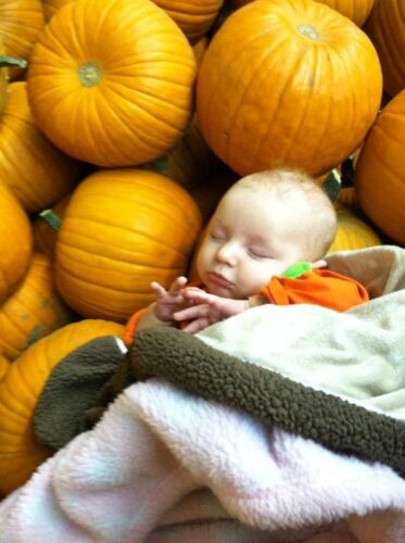 Union Gap Corn Maze and Pumpkin Patch