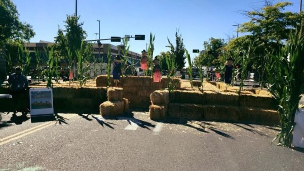 Union Gap Corn Maze and Pumpkin Patch