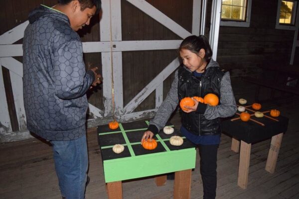 Union Gap Corn Maze and Pumpkin Patch