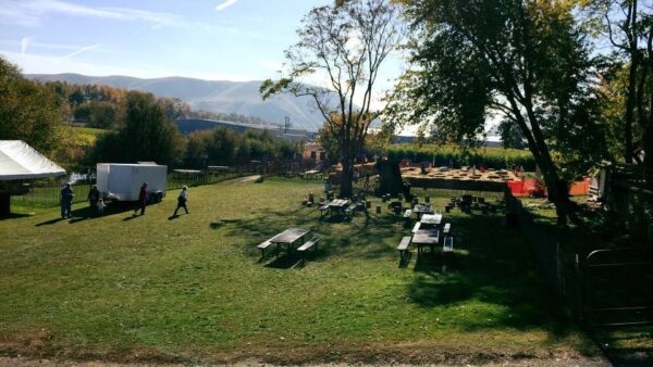 Union Gap Corn Maze and Pumpkin Patch