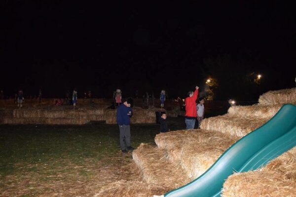 Union Gap Corn Maze and Pumpkin Patch