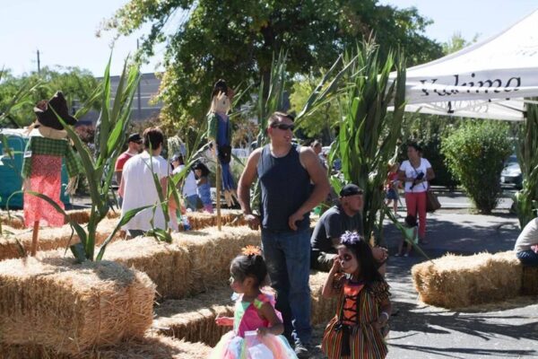 Union Gap Corn Maze and Pumpkin Patch