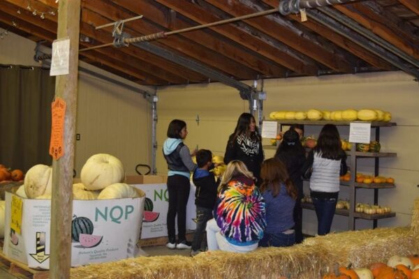 Union Gap Corn Maze and Pumpkin Patch