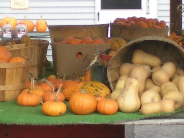 Haunted Hayride at Wheatfield Pumpkin Farm