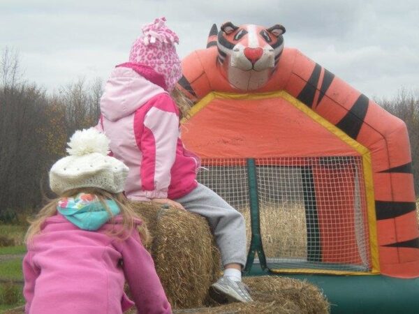 Haunted Hayride at Wheatfield Pumpkin Farm