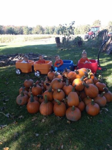 Haunted Hayride at Wheatfield Pumpkin Farm