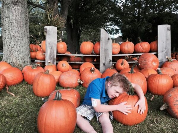 Haunted Hayride at Wheatfield Pumpkin Farm